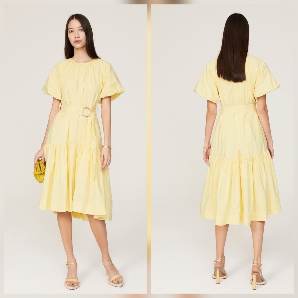 Eudon Choi  Belted Tiered Dress In Yellow Short Sleeves Crewneck Size 2